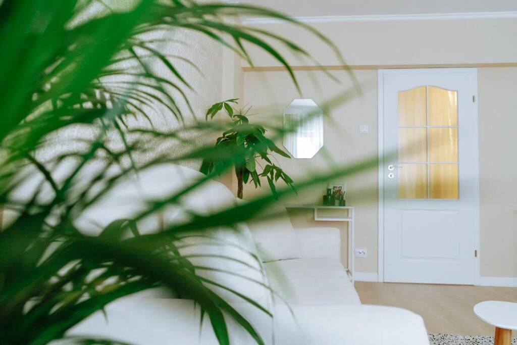 Elegant Vibes Apartment Next To Obor Market Boekarest Buitenkant foto